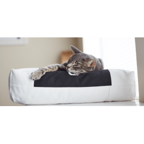 Animal Accessory - Mykotty - Padi Pillow Animal Accessory - Mykotty - Padi Pillow