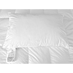 Anti Allergy Bedding - 3-Chamber Pillow (50 x70 cm) Anti Allergy Bedding - 3-Chamber Pillow (50 x70 cm)