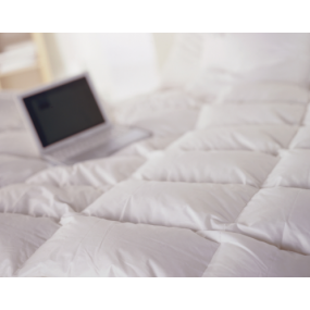 Anti Allergy Bedding - ODIN - Medium - Duck Down Duvet - 260 cm x 220 cm